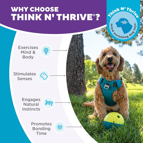 1 4.8" Outward Hound by Nina Ottosson Treat Tumble Interactive Food-Dispensing Dog Puzzle Ball, Level Beginner, Small