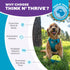 1 4.8" Outward Hound by Nina Ottosson Treat Tumble Interactive Food-Dispensing Dog Puzzle Ball, Level Beginner, Small