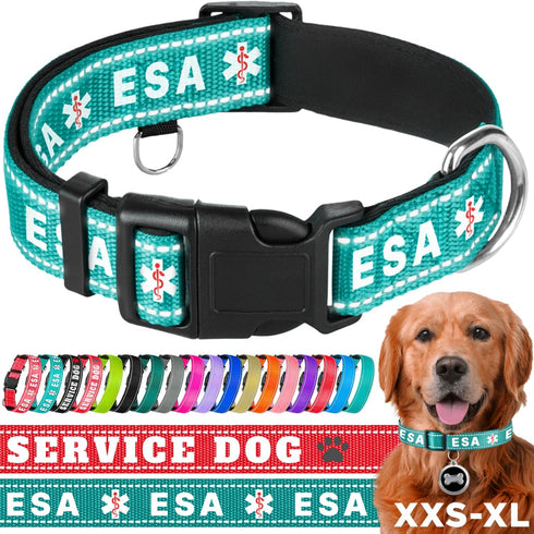TECEUM Reflective Teal Pet Collar, M, Extra Soft Padding, Basic Nylon Dog Collar with Quick Release Buckle