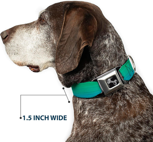 Dog Collar Seatbelt Buckle, Teal Ombre, 1.0 Inch Wide, Fits 15 to 26 Inches