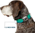 Dog Collar Seatbelt Buckle, Teal Ombre, 1.0 Inch Wide, Fits 15 to 26 Inches
