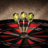 Viper Spinning Bee Soft Tip Darts with Casemaster Storage Case, 16 Grams