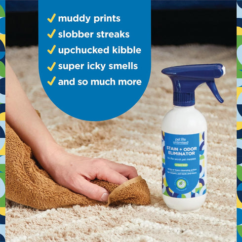 Pet Stain and Odor Remover Foaming Spray, 16 Ounce, Plant-Based Carpet Stain Remover, Juniper Leaf Scent