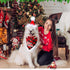6 PCs Dog Christmas Costume Elk Reindeer Antler Headband Buffalo Plaid Bandana Bow Tie Triangle Pet Scarf Outfit Bib