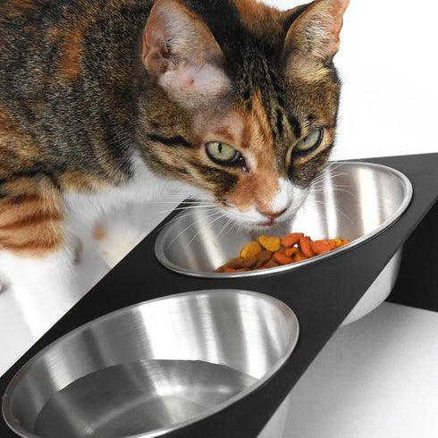 Elevated Pet Bowl for Cats and Small Dogs