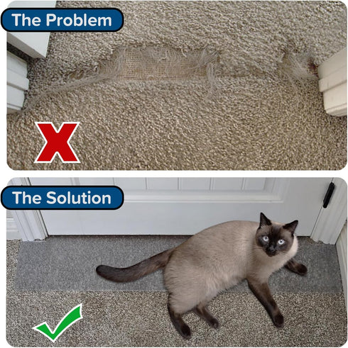 Carpet Scratch Stopper, Precut to Fit Your Door, Stop Cats from Scratching Carpets Instantly, 5 Year Warranty