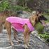 2 Pack UPF 50+ Sun Protection Dog Shirt, Lightweight Sports Fan T-Shirts for Small Dogs, Reflective Strip