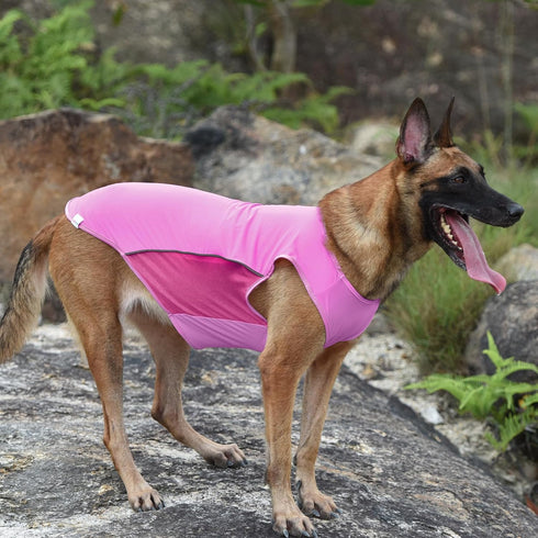 2 Pack UPF 50+ Sun Protection Dog Shirt, Lightweight Sports Fan T-Shirts for Medium Dogs, Reflective Strip
