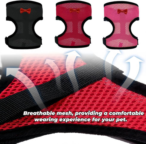 Magnoloran 3 Pack Set Chicken Harness and Leash Adjustable Hen Vest with Matching Belt Breathable Mesh Training Harness