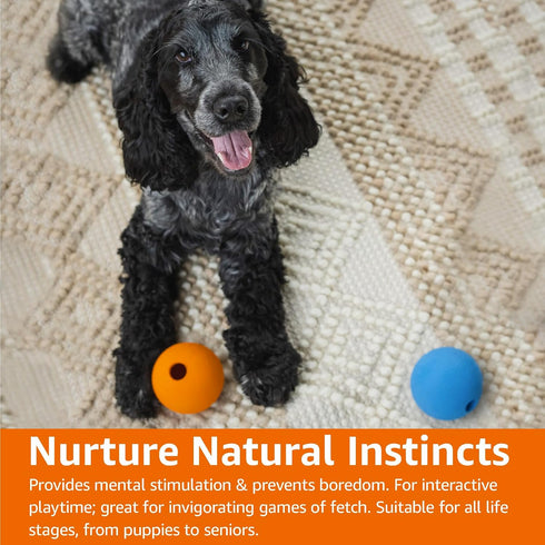 Amazon Basics 2-Pack Rubber Fetch Toy Dog Balls, 3-Inch, Blue & Orange