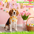120 Sanwuta Pcs Spring Easter Dog Bandanas Bulk Dog Adjustable Cute Washable Triangle Kerchief Scarf Bibs for Small
