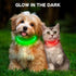 BSEEN Light Up Dog Collar, Rechargeable LED TPU Cuttable Lighted Collar for Small Medium Large Dogs (XS-Red, 40cm)