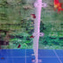 OIIKI 16PCS Aquarium Fish Tank Divider with Suction Cup, Silica Gel Holders for Glass Cover Separating Divider