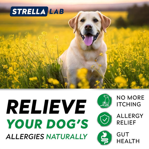 StrellaLab Dog Allergy Relief Chews, Anti Itch Support w/Omega 3, Skin & Coat Immune Supplement, 120Ct