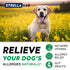 StrellaLab Dog Allergy Relief Chews, Anti Itch Support w/Omega 3, Skin & Coat Immune Supplement, 120Ct