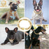 Gold Dog Chain Collar, Diamond Cuban Link 13mm Wide Necklace for Small Medium Large Dogs Cats, Metal Crystal (18 inch)