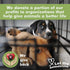 400ml 13.5 oz Arava Natural Medicated Dog Shampoo Anti Yeast Anti Itch Dog Shampoo - Healthy Skin & Coat - First Aid