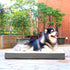EHEYCIGA Orthopedic Dog Beds for Large Dogs, Removable Washable Cover for Crate, Beige, 35x23