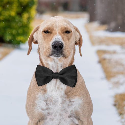 Black Dog Bow Tie, KOOLMOX Adjustable Bow Tie Collar for Medium and Large Dogs, Wedding Birthday Grooming Costumes