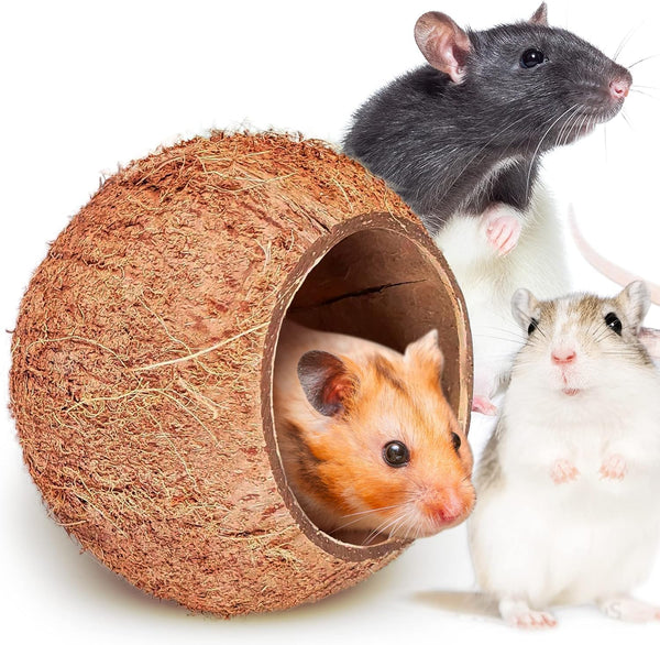 SunGrow Coconut Shell House for Gecko, Snake & Ball Python, Raw Coco Husk Pet Hiding House