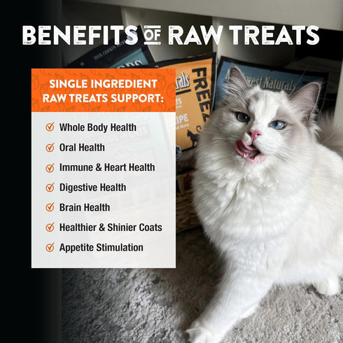 Northwest Naturals Raw Rewards Freeze-Dried Salmon Treats for Dogs and Cats, 2.5 Oz