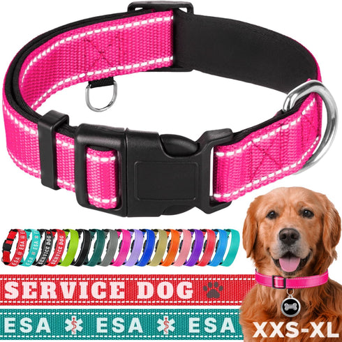 TECEUM Reflective Pet Collar – Hot Pink – M – Basic Nylon Dog Collar with Extra Soft Padding – Quick Release Buckle