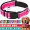 TECEUM Reflective Pet Collar – Hot Pink – M – Basic Nylon Dog Collar with Extra Soft Padding – Quick Release Buckle