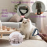6 6-in-1 Cat Grooming Brush Kit Tools - Deshedding & Dematting for Long/Short Hair, Self-Cleaning Slicker Brush