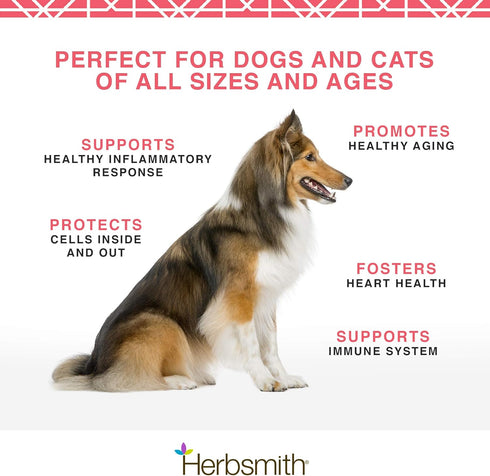 Herbsmith Pure Krill: Wild-Caught Antarctic Krill, Just 1 Ingredient, Omega 3s for Dogs, 75g