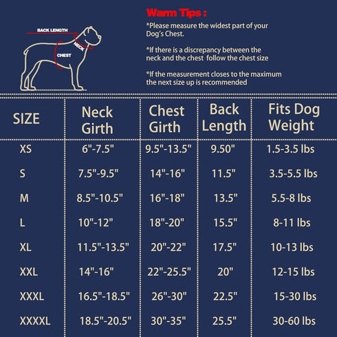 Chic Ion Polyester Dog Vest: Fashionable Moisture-Wicking Dog Apparel for Small, Medium, Large Breeds, Grey L