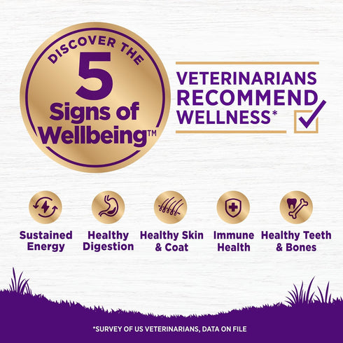 Wellness Complete Health Senior Dry Dog Food with Grains, Chicken & Barley, 5-Pound Bag