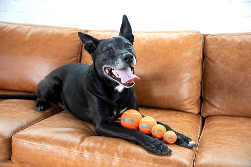 Outward Hound Squeaker Ballz Fetch Dog Toy, Large, 4 count (Pack of 1)