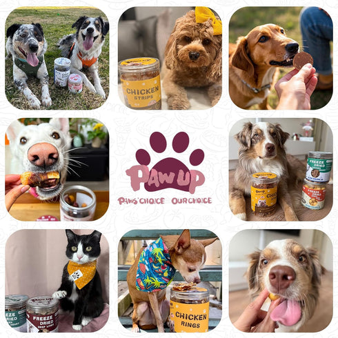 12.5 oz PAWUP Duck Jerky Dog Treats Duck & Apple Sausage Slices, Training Treats with Taurine for Small, Medium & Large