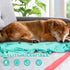 8 Pcs Dog Towels, Pet Bath Drying Towels, 55 x 28 Inches, Large Absorbent Microfiber Quick Drying for Cats and Puppies