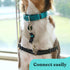 Gentle Creatures Adjustable Backup Clip for Dog Harness, Prong, Pinch Collars, Double Ended Safety Clip