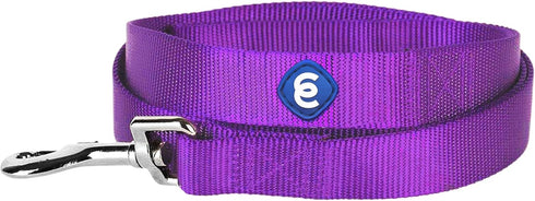 Blueberry Pet Essentials Dark Orchid Dog Leash, Heavy Duty Nylon Lead for Small Dogs, 5' * 5/8"