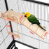 Bird Perches Platform Swing with Climbing Ladder, Sturdy Wooden Playing Gyms for Small Birds