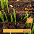 Barenbrug Premium Free Range Chicks Mix Forage Seed Mixture I 1 lb, One Pack