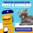 Soft Claws Cat Nail Caps for Medium Cats – 40 Caps, Purple - Easy to Apply, Long-Lasting Anti-Scratch Covers