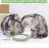Cat Bowls Silicone Dog Bowls, Non-Slip 10 OZ Pet Bowl for Dry & Wet Food, Green 2pcs for Small Pets