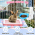 19 Set Pcs Rabbit Starter Kit Small Bunny Litter Box Rabbit Grooming Kit Water Bottle Bunny Toys Hay Feeder Bowl