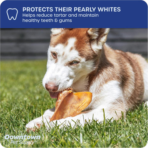 Downtown Pet Supply Pig Ears, 5 Pack, SOUTH AMERICA & TURKEY