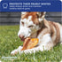 Downtown Pet Supply Pig Ears, 5 Pack, SOUTH AMERICA & TURKEY