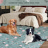 IEUUMLER 71" 71", 1 Pack EU007 71"X71"-1pcs) Washable Pee Pads for Dogs Extra Large x Non-Slip & Waterproof Whelping