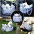 Wangda 28lbs Medium Dog Car Seat Up to - Pet Travel Bed Booster with Storage, Safety Tether, Anti-Slip Bottom