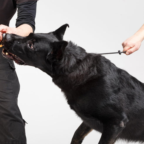 Dingo Gear Choke Collar for Dog Training, Handmade of Cord with 2 Limiters, Waterproof Black