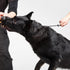 Dingo Gear Choke Collar for Dog Training, Handmade of Cord with 2 Limiters, Waterproof Black
