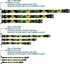 Dog Collar Plastic Clip Loki In Action, Black Gray Yellow Green, 11 to 17 Inches, 1.0 Inch Wide