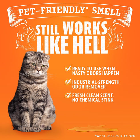 Angry Orange Pet Odor Eliminator for Strong Odor - Enzyme Deodorizer for Home, Dog or Cat Pee Smells, 24 Fl Ounces