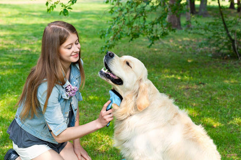 Dog Slicker Brush, Self Cleaning Grooming Tool for Pets, Best Brush with Retractable Bristles for Hair Removal
